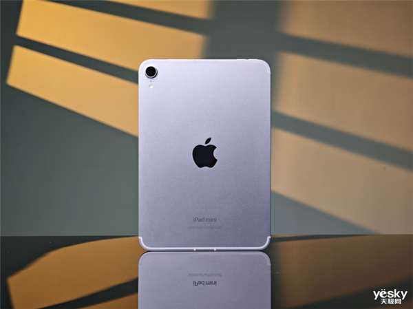 d！iPad mini最新款深度体验PP模拟器试玩入口吃灰率最低的iPa(图20)